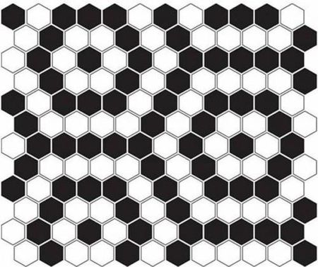 Dunin Mini Hexagon B&W Nano 26X30
