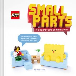 LEGO (R) Small Parts