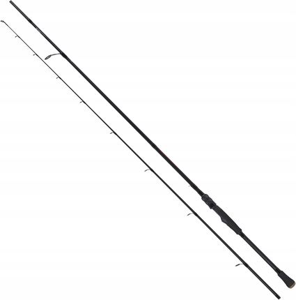 Robinson Cougar Trout Spin 2,4m 8-20g