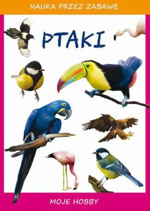Ptaki (PDF)
