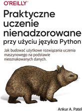 Zdjęcie Praktyczne uczenie nienadzorowane przy użyciu języka Python - Kamienna Góra