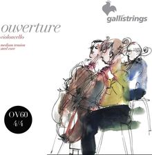 Zdjęcie Galli OV60 4/4 - struny do wiolonczeli 4/4 - Zabrze