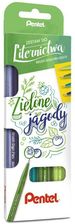 Zdjęcie Pentel Zestaw Pisaków Do Kaligrafii 4 Kolory - Ruda Śląska
