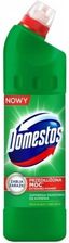 Zdjęcie Domestos Przedłużona Moc Płyn zagęszczony do toalety Pine Fresh 1l - Świecie