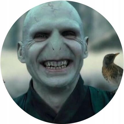 lord voldemort smiling