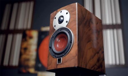 Dali Menuet SE Orzech Opinie i ceny na