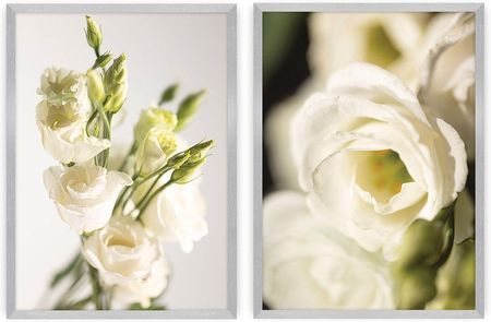Dekoria Zestaw obrazów Flowers 2szt. 50×70 cm