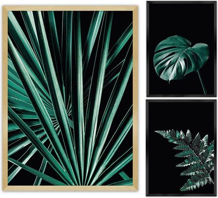 Dekoria Zestaw obrazów Botanica 3szt. 70×100cm/ 40×50cm