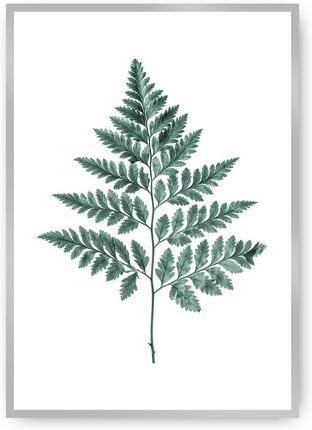 Dekoria Plakat Fern Emerald Green 21×30 cm Ramka: Srebrna