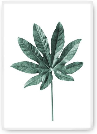 Dekoria Plakat Leaf Emerald Green 21×30 cm Ramka: Biała