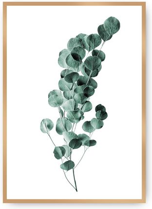 Dekoria Plakat Eucalyptus Emerald Green 21×30 cm Ramka: Złota