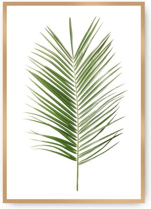 Dekoria Plakat Palm Leaf Green 21×30 cm Ramka: Złota
