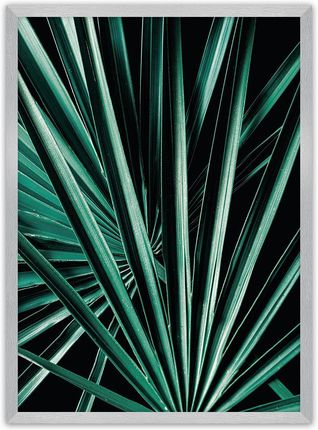 Dekoria Plakat Dark Palm Tree 21× 30 cm Ramka: Srebrna