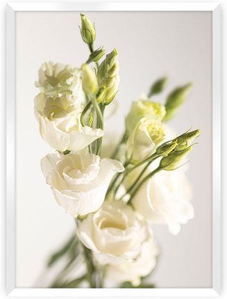 Dekoria Plakat Elegant Flowers 21× 30 cm Ramka: Biała