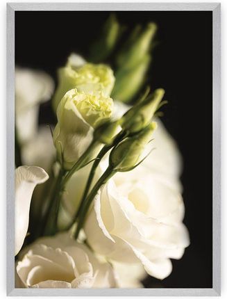 Dekoria Plakat Dark Flowers I 21× 30 cm Ramka: Srebrna