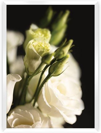 Dekoria Plakat Dark Flowers I 21× 30 cm Ramka: Biała