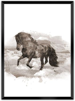 Dekoria Plakat Horse 21×30 cm Ramka: Czarna