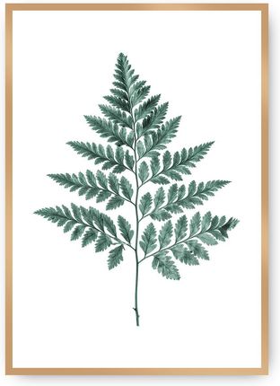 Dekoria Plakat Fern Emerald Green 30×40 cm Ramka: Złota