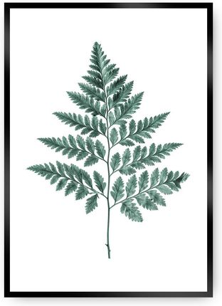 Dekoria Plakat Fern Emerald Green 30×40 cm Ramka: Czarna
