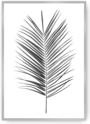 Dekoria Plakat Palm Leaf Green 30×40 cm Ramka: Srebrna
