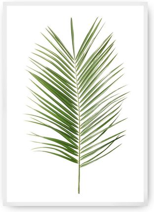 Dekoria Plakat Palm Leaf Green 30×40 cm Ramka: Biała