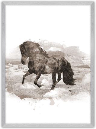 Dekoria Plakat Horse 30×40 cm Ramka: Srebrna
