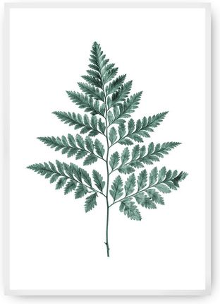 Dekoria Plakat Fern Emerald Green 40×50 cm Ramka: Biała