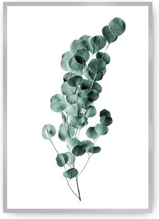 Dekoria Plakat Eucalyptus Emerald Green 40×50 cm Ramka: Srebrna