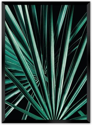 Dekoria Plakat Dark Palm Tree 40×50 cm Ramka: Czarna