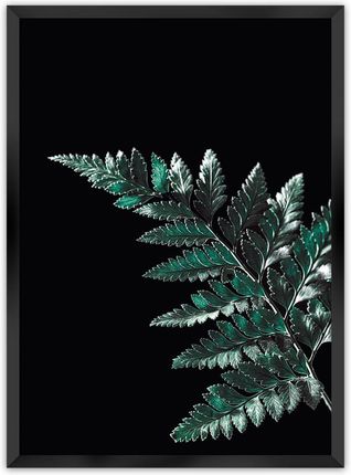 Dekoria Plakat Dark Fern Leaf 40×50 cm Ramka: Czarna