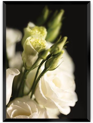 Dekoria Plakat Dark Flowers I 40×50 cm Ramka: Czarna