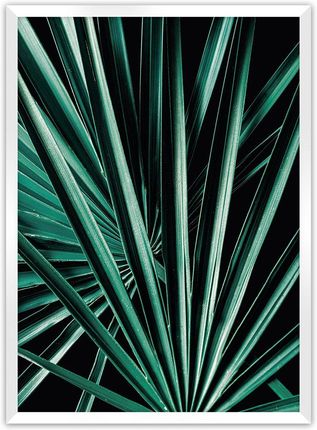Dekoria Plakat Dark Palm Tree 50×70 cm Ramka: Biała