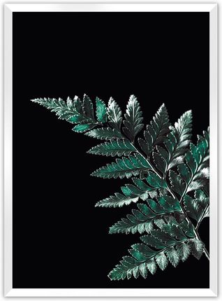 Dekoria Plakat Dark Fern Leaf 50×70 cm Ramka: Biała