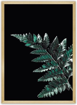 Dekoria Plakat Dark Fern Leaf 50×70 cm Ramka: Złota