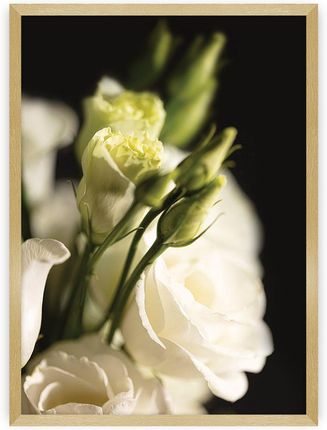 Dekoria Plakat Dark Flowers I 50×70 cm Ramka: Złota
