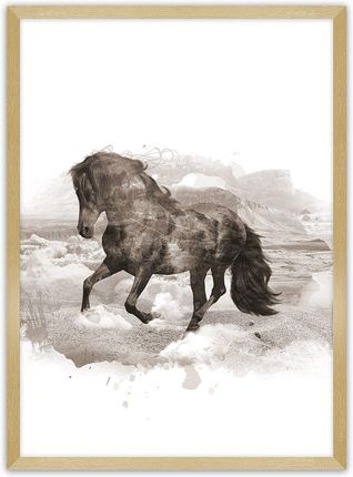 Dekoria Plakat Horse 50×70 cm Ramka: Złota