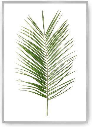Dekoria Plakat Palm Leaf Green 70×100 cm Ramka: Srebrna