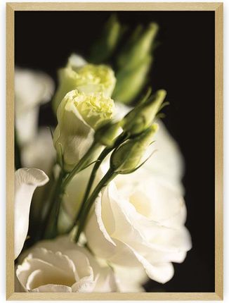Dekoria Plakat Dark Flowers I 70×100 cm Ramka: Złota