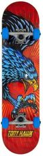 Zdjęcie Tony Hawk Ss 180 Diving Hawk - Złotoryja