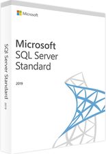 Microsoft SQL Server 2019 Standard 2 Core (22810817) - Programy serwerowe