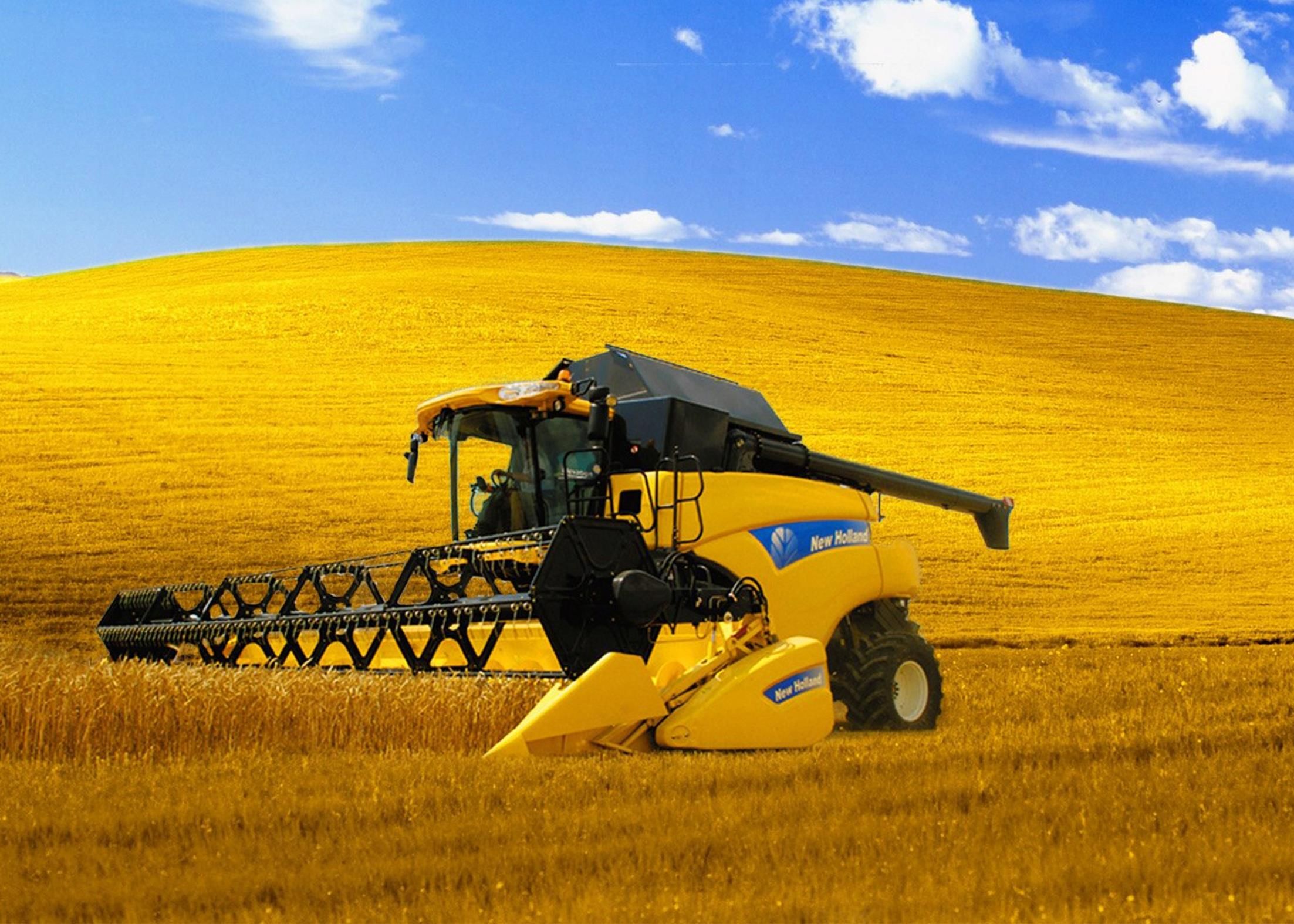 Техника полей. Комбайн Нью Холланд и подсолнух. Трактор New Holland желтый. Комбайн Нью Холланд в поле. Комбайн Нью Холланд обои.