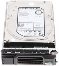 DELL SAS 3TB 3.5