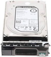 DELL SAS 3TB 3,5