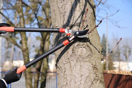 YATO Sekator teleskopowy 610 mm YT-8838 - zdjęcie 3