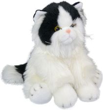 Zdjęcie Smily Pluszak Kot - Chełmno