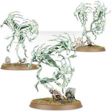 Zdjęcie Games Workshop Warhammer Age of Sigmar Nighthaunt Spirit Hosts - Czempiń