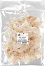 Zdjęcie Hasta Ozboba Dekor Piórka 16G Beige 414323 Pbh - Swarzędz