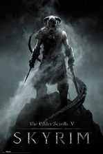 The Elder Scrolls - V - Skyrim - Dragonborn - Plakat - wielokolorowy - Pozostałe gadżety muzyczne
