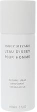 Zdjęcie Issey Miyake L Eau D Issey Homme Dezodorant 150ml spray - Zduńska Wola