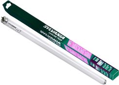 T8 świetlówka sylvania Luxline Plus 865 36W 120cm
